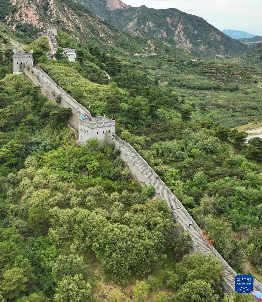 银河线上视讯
